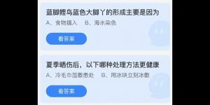 蚂蚁庄园今日答案 6月30日蚂蚁答案大全