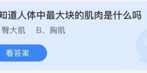 你知道人体中最大块的肌肉是什么吗？蚂蚁庄园7月21日答案