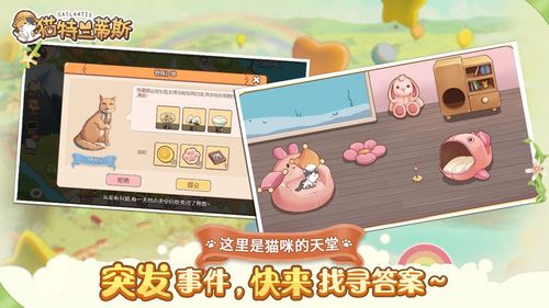 猫咪大陆通用礼包码（喵喵大陆首码）
