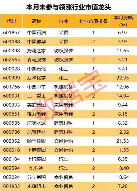 软件龙头股排名前十名 (软件龙头股排名前十 )