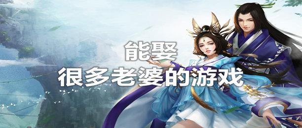 2023可以娶很多老婆的手游叫什么（可以娶好多老婆的手游）