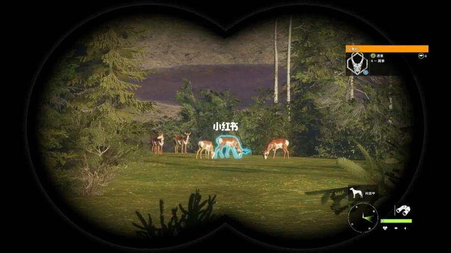 steam打猎的游戏（steam游戏叫什么）