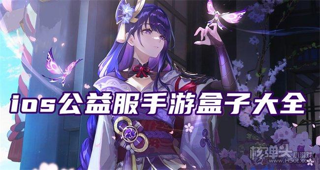 公益服手游盒子哪个好（公益服手游盒子哪个好一点）