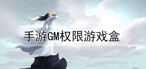 哪个手游平台有GM权限（哪个手游平台有gm权限功能）