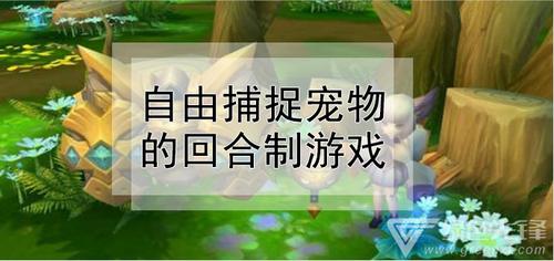 自由捕捉宠物的回合制游戏（自由捕捉宠物的回合制游戏破解版）
