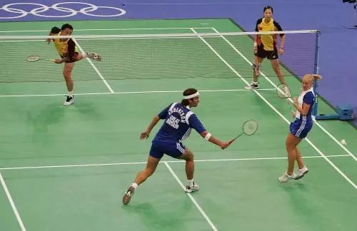 2023双人羽毛球游戏推荐(打羽毛球双人游戏)