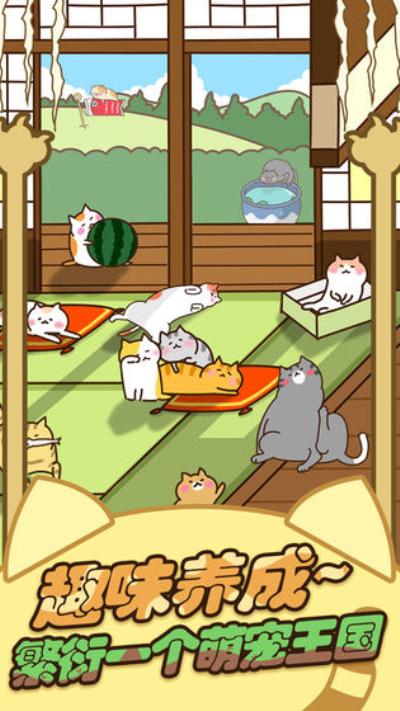 2023治愈的逗猫游戏有哪些（逗猫游戏专用）