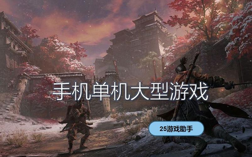 单机大型手机游戏耐玩（单机大型手机游戏耐玩的有哪些）