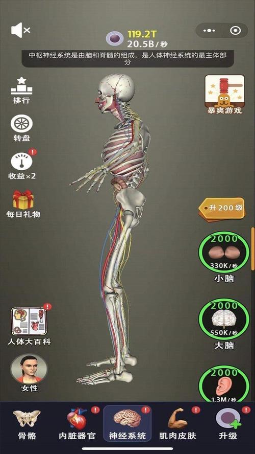 可以造人的游戏（可以造人的游戏手机版）