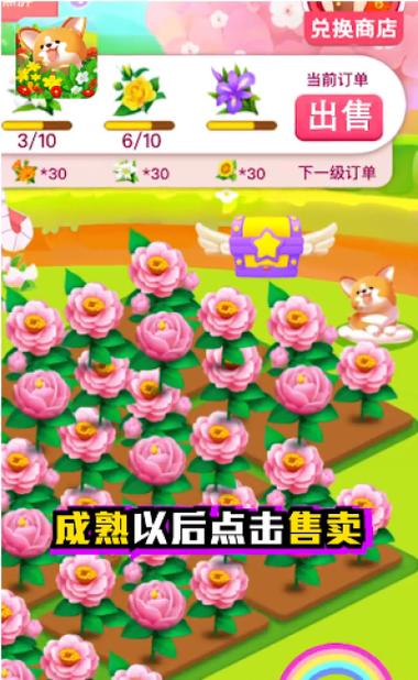 2024以前有一款种花游戏叫什么游戏（2024以前有一款种花游戏叫什么游戏）
