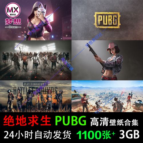 2024最火吃鸡游戏（2024最火吃鸡游戏网名女）