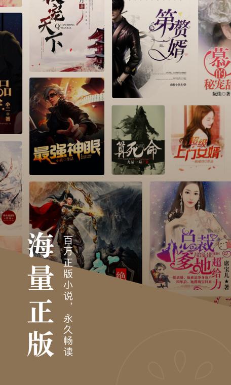 2024看小说的软件（2024看小说软件）