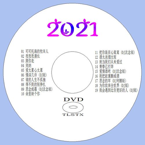 202o网上流行歌曲（2024网上流行歌曲）