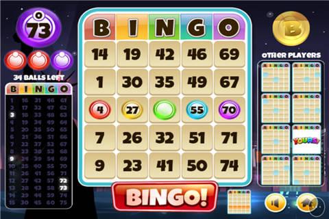 bingo游戏是什么游戏（binggo游戏是什么）