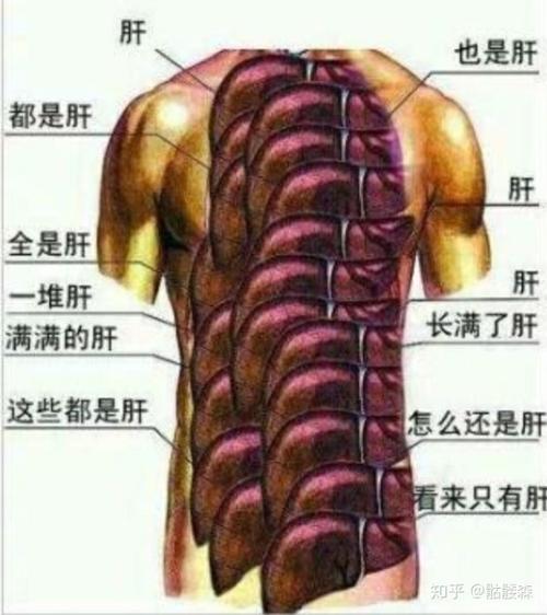 一些比较肝的游戏（一些比较肝的游戏名字）