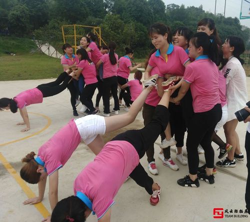八人坐着玩的小游戏（8人坐着玩的游戏）
