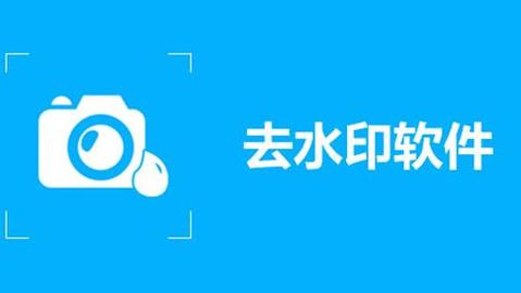 加水印的软件排行榜2024最新（加水印软件app哪个好用）