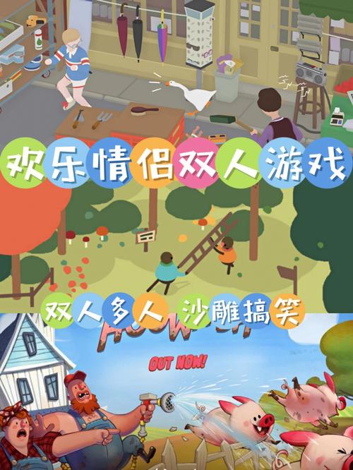 双人联机游戏（双人联机游戏荒岛生存）