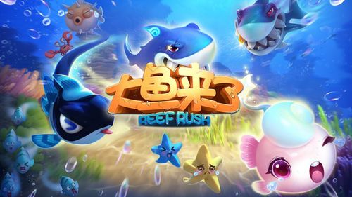 大鱼系列游戏（大鱼游戏合集）
