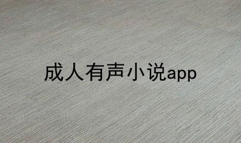 成人有声小说软件排行榜（有声小说大全软件）