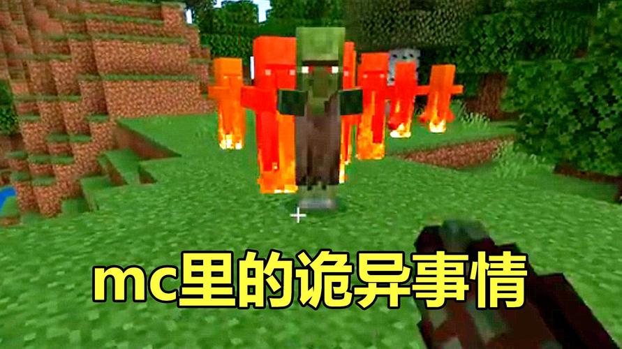 我想玩我的世界游戏233（我想玩我的世界游戏）