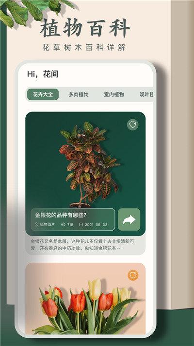 拍照识别植物app排行榜（拍照识别植物app排行榜）
