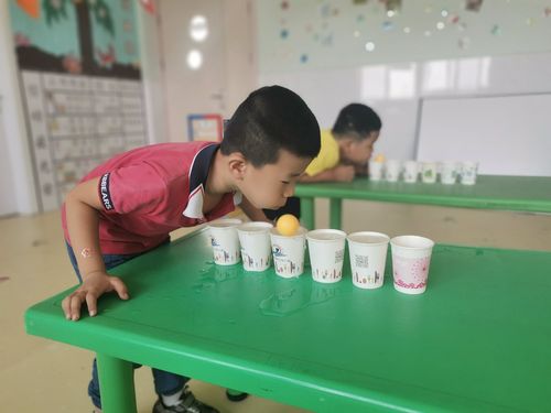 最好玩的乒乓球游戏（有哪些好玩的乒乓球游戏）