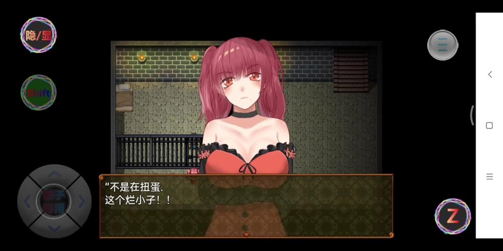 有什么好玩的绅士rpg游戏（好玩的绅士rpg游戏安卓）