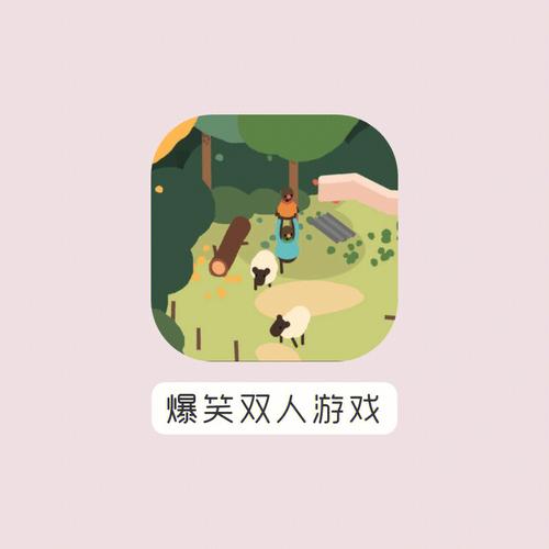 能两个人在一起玩的游戏（能两个人在一起玩的游戏手机版）