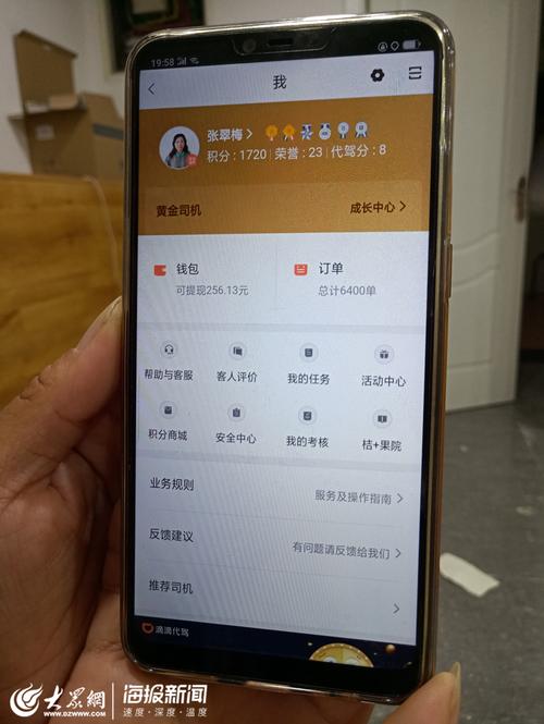 自己接单的平台（旅游可以自己接单的平台）