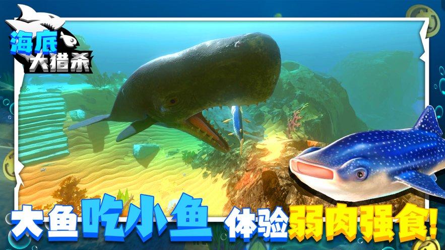 鱼游游戏（鱼游游戏客服电话）