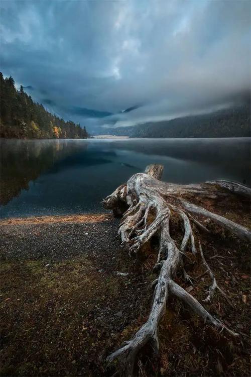 最新传奇手游排行榜2024前十名游戏有哪些呢 (最新传奇手游排行榜2024前十名游戏有哪些呢 )