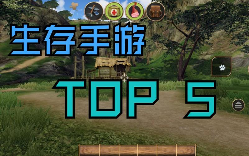 最火生存游戏手游
