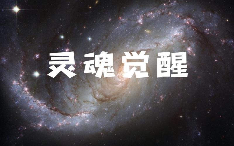 格斗手游排行榜2024前十名游戏有哪些呢视频 (格斗手游排行榜2024前十名游戏有哪些呢 )
