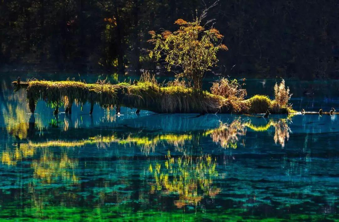 武侠单机手游排行榜2024最新 (武侠单机手游排行榜2024 )