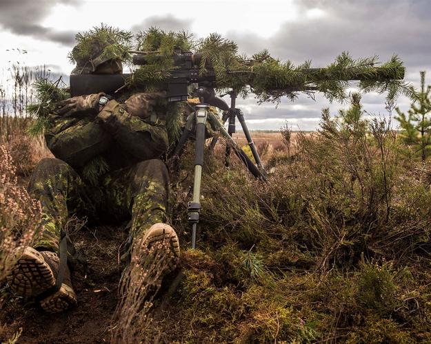 热门射击手游排行榜前十名2024级以上 (热门射击手游排行榜前十名2024级 )