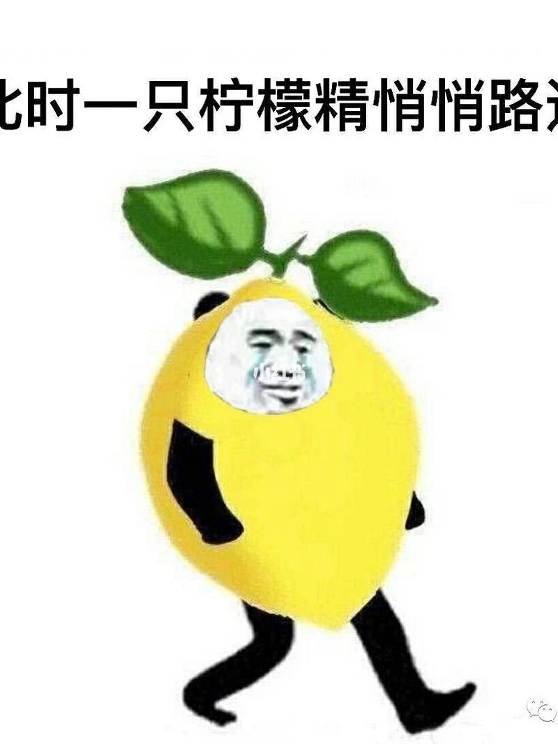 美女手游排行榜2024前十名游戏名字大全免费版 (美女手游排行榜2024前十名游戏名字大全免费 )