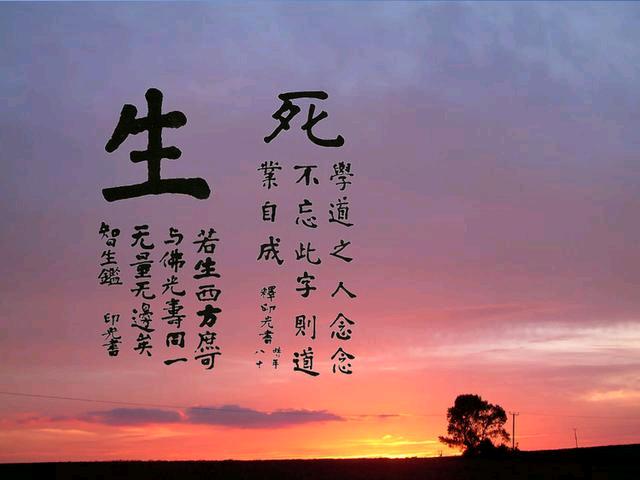 卡牌类手游排行榜前十名2024年 (卡牌类手游排行榜前十名2024年 )