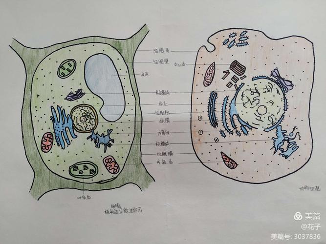 国外手游排行榜2024年有哪些游戏好玩点的游戏推荐 (国外手游排行榜2024年有哪些游戏好玩点的游戏 )