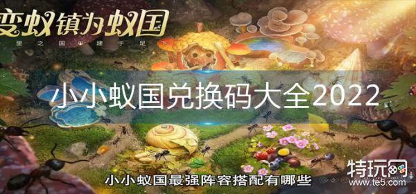 兑换码 小小蚁国全明星（小小蚁国什么时候开新区）