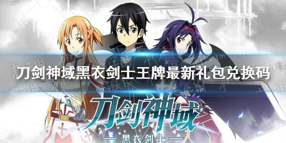 刀剑神域黑衣剑士：王牌