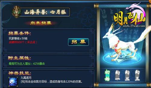 明月飞仙