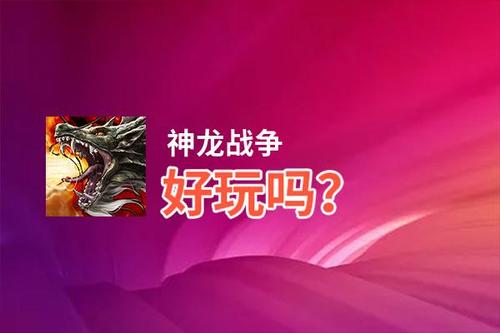 神龙战争