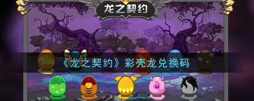 龙之幻想